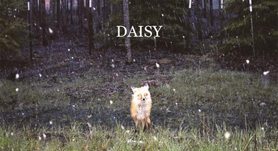 Brand New - Daisy
